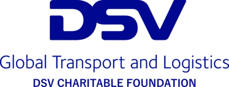 DSV Logo